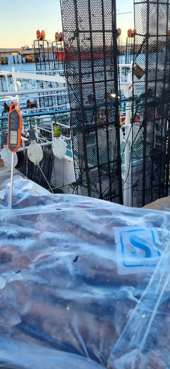 Inspecciones de calidad en muelle