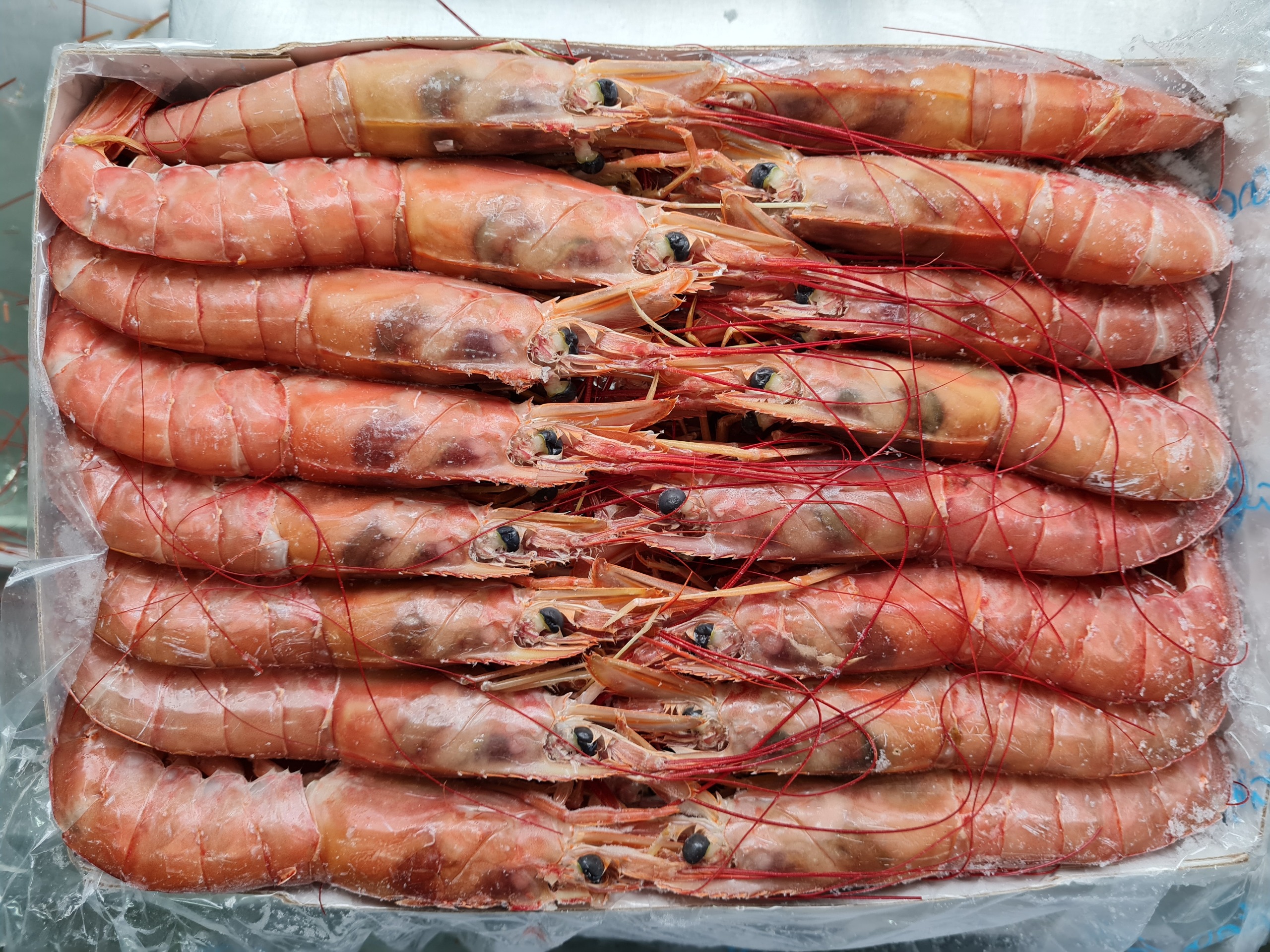 Inspección de calidad en planta